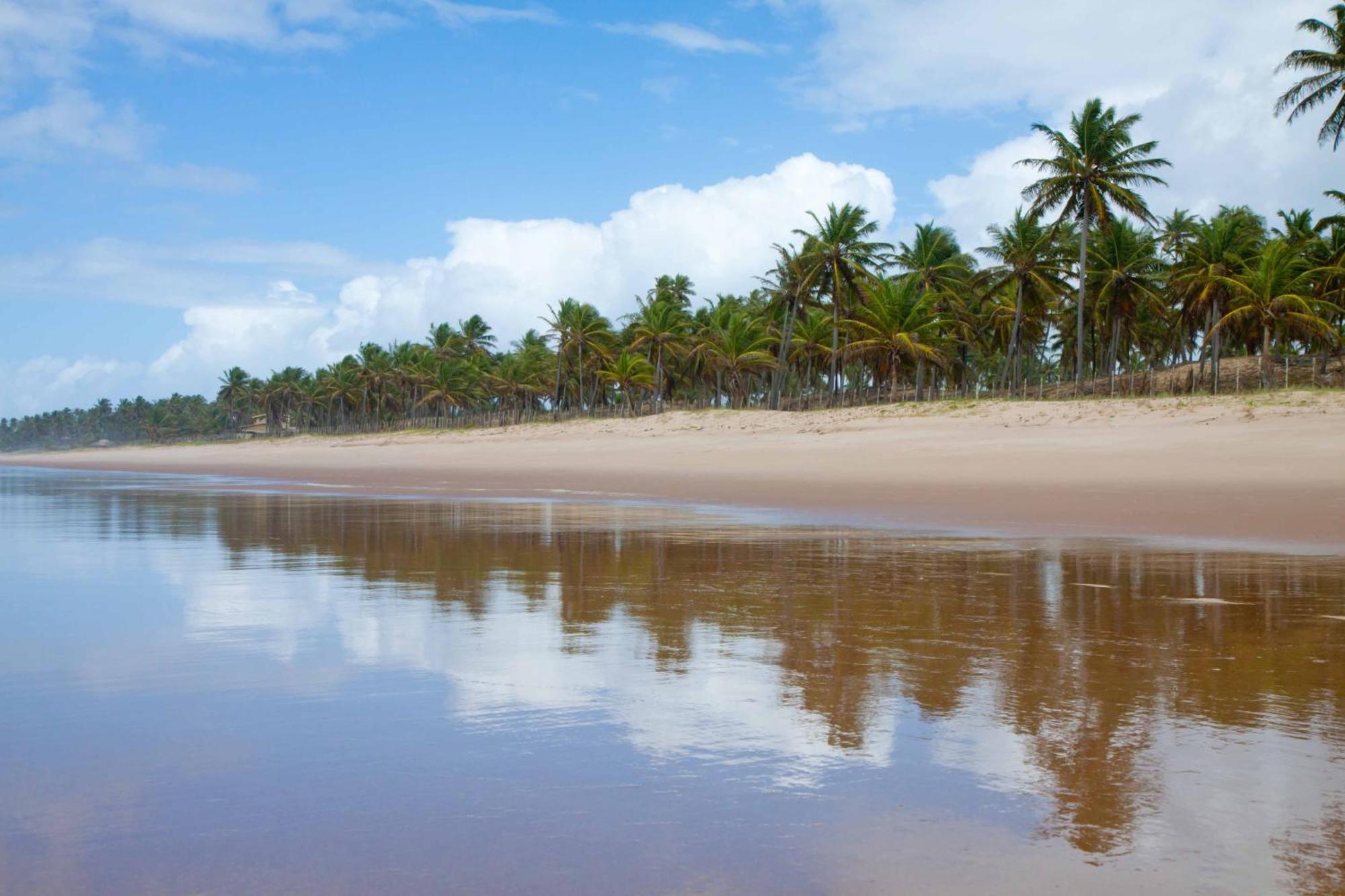 Grand Palladium & 5* Imbassai