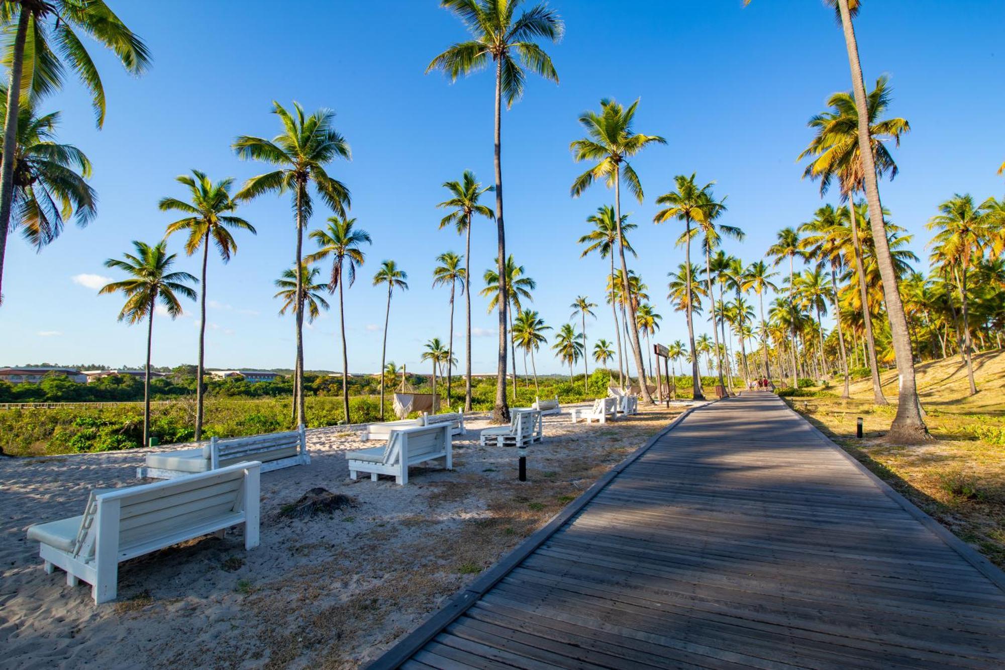 Grand Palladium Resort&spa - Resort